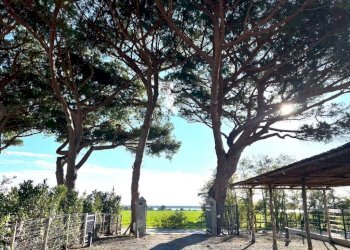 Terreno - Trilocale strada Origlio, Capalbio - foto 24