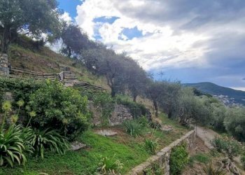 Giardino - Villa via Beleasco, Moneglia - foto 5