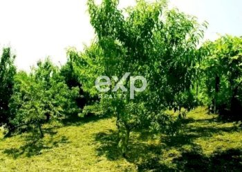 Independent house Strada Santo Spirito, Asti - photo 17