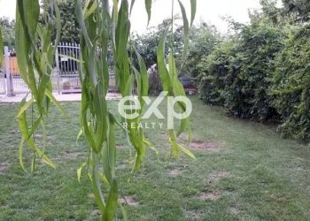 Independent house Strada Santo Spirito, Asti - photo 39