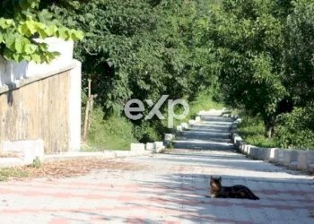 Casa indipendente Strada Santo Spirito, Asti - foto 16