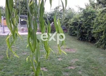 Casa indipendente Strada Santo Spirito, Asti - foto 39