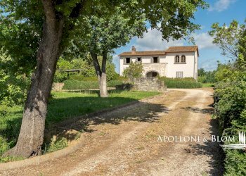 Casale Loc. santa Caterina, snc, Cortona - foto 8