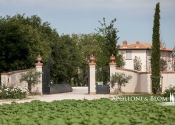 Casale Loc. santa Caterina, snc, Cortona - foto 36