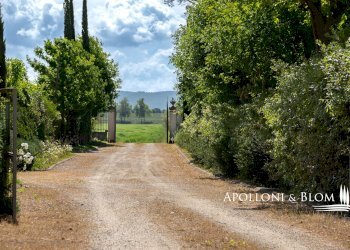 Casale LOC. SANTA CATERINA, SNC, Cortona - foto 28