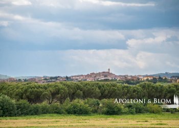 Casale LOC. SANTA CATERINA, SNC, Cortona - foto 35