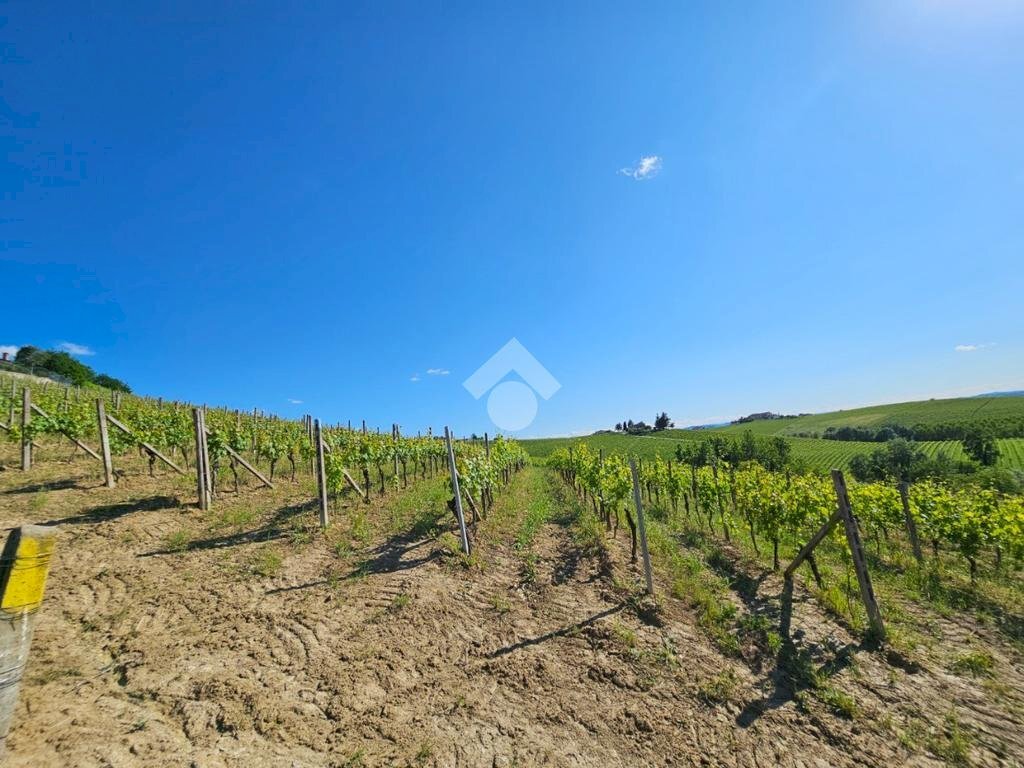 Terreno agricolo Strada Alessandria, Nizza Monferrato - foto 3