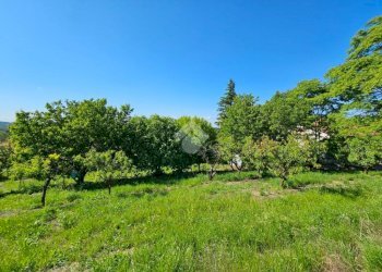 Terreno agricolo Strada Alessandria, Nizza Monferrato - foto 4