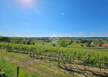 Terreno agricolo Strada Alessandria, Nizza Monferrato - foto 5