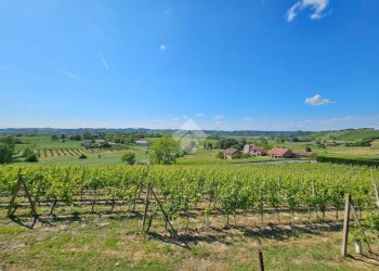 Terreno agricolo Strada Alessandria, Nizza Monferrato - foto 6