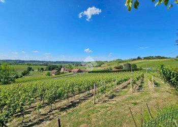 Terreno agricolo Strada Alessandria, Nizza Monferrato - foto 7