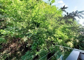 Balcone - Appartamento via Rubaldo Merello, Genova - foto 31