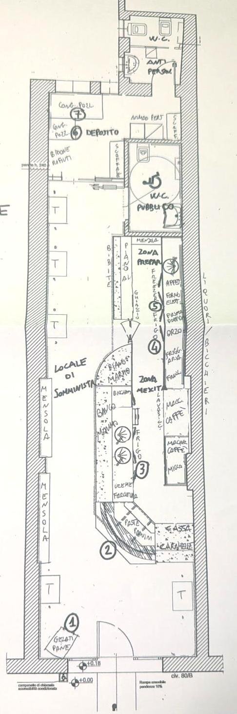 Cafeteria - Cold Bar Bologna (neighborhood Centro Storico) - floor plans 1
