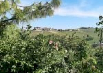 Terreno agricolo Calosso - foto 4