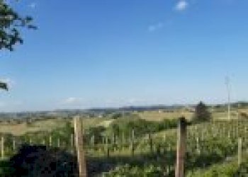 Terreno agricolo Calosso - foto 5