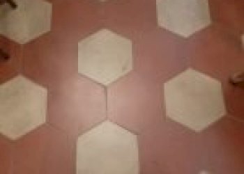 Terreno agricolo Calosso - foto 9