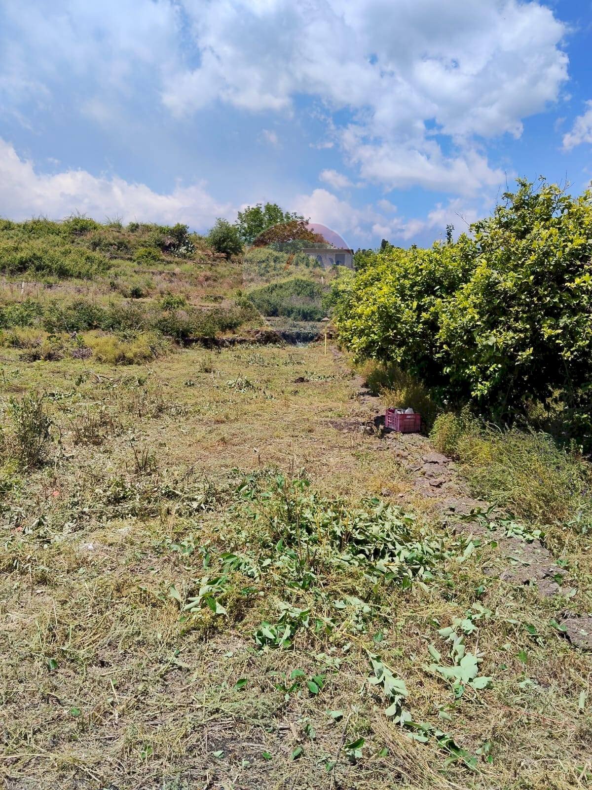 Vista delle montagne - Terreno agricolo via Palombaro
 
179, Santa Venerina - foto 2