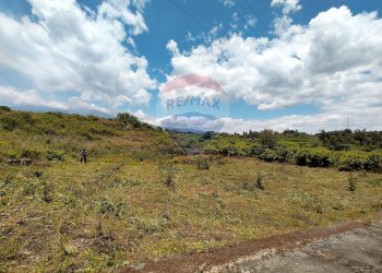 Vista delle montagne - Terreno agricolo via Palombaro
 
179, Santa Venerina - foto 3