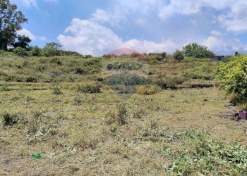 Vista delle montagne - Terreno agricolo via Palombaro
 
179, Santa Venerina - foto 4