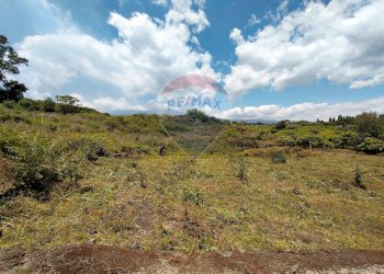 Vista delle montagne - Terreno agricolo via Palombaro
 
179, Santa Venerina - foto 6