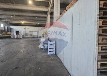 Parcheggio - Shed SS 417 CONTRADA CUTICCHI - Nr, Ramacca - photo 5