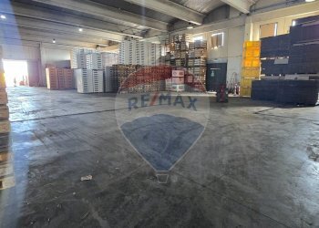 Parcheggio - Shed SS 417 CONTRADA CUTICCHI - Nr, Ramacca - photo 6