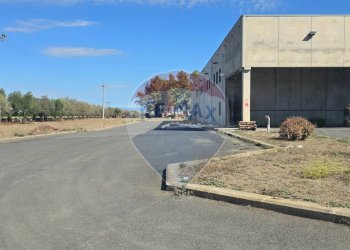 Edificio all\'aperto - Shed SS 417 CONTRADA CUTICCHI - Nr, Ramacca - photo 17