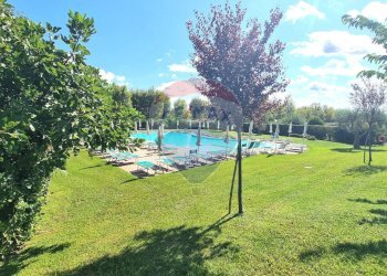 Giardino - Bilocale Via Salgari
 
21, Cecina - foto 29