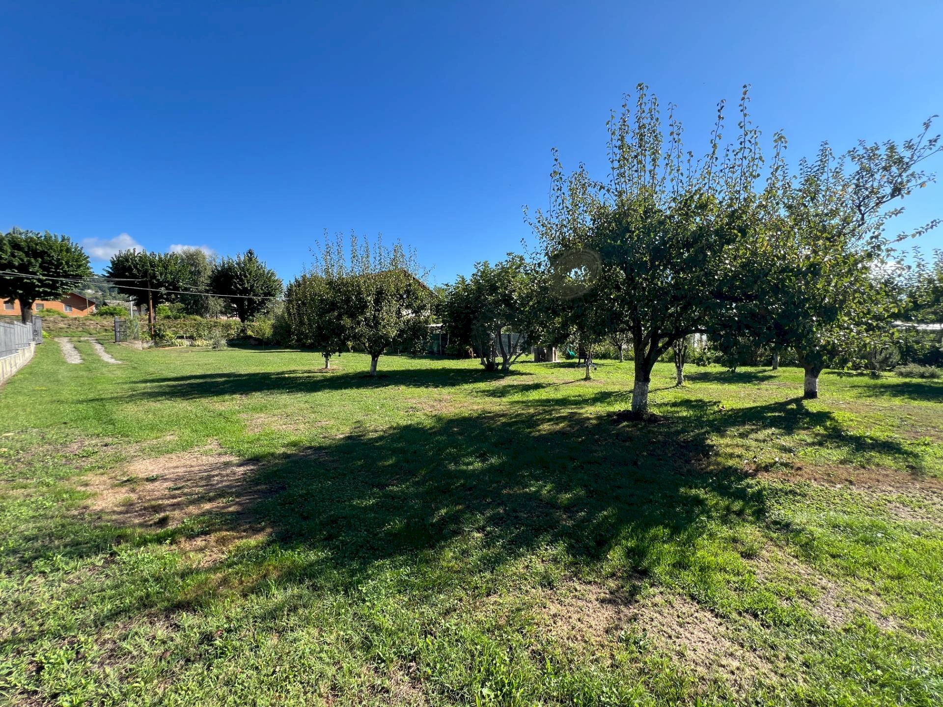 Foto 3 - Terreno edificabile Luserna San Giovanni - foto 3