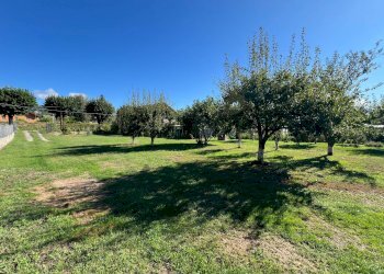 Foto 3 - Terreno edificabile Luserna San Giovanni - foto 3