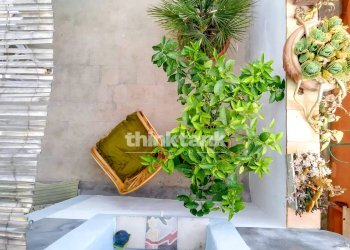 Foto 1 - Villa Via Cassar Scalia, Pachino - foto 1