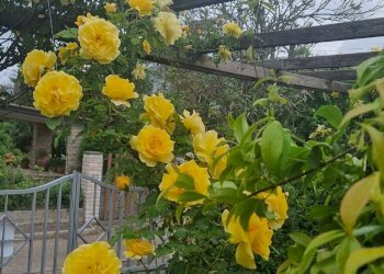 Foto 32 - Villa via battisti, Montecchio - photo 32