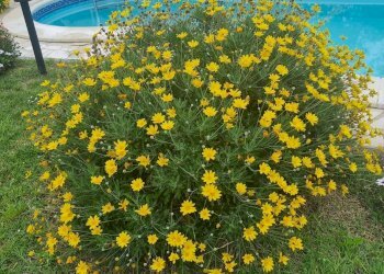 Foto 35 - Villa via battisti, Montecchio - photo 35