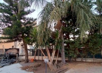 Foto 22 - Villa Via ponza
 
22, Carini - foto 22