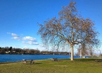 Zona - Stable - Palace via 25 Aprile, Peschiera Borromeo - photo 7