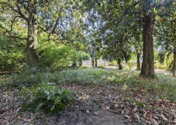 Villa Strada Villanova 37, Modena - foto 38