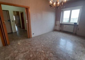 Trilocale Moncalieri - foto 11