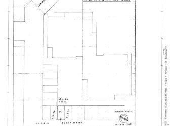 Trilocale Moncalieri - foto 31
