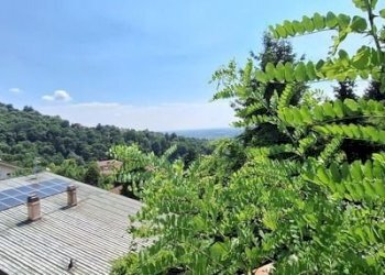 Villa Moncalieri - foto 7