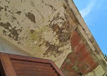 Villa Moncalieri - foto 8