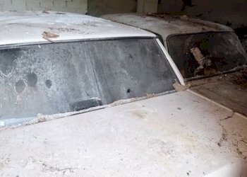 Villa Moncalieri - foto 19