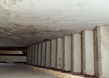 Villa Moncalieri - foto 20