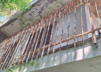 Villa Moncalieri - foto 25