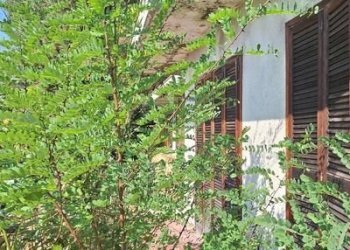 Villa Moncalieri - foto 27