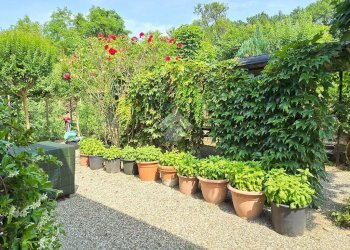 Villa Via Verdi, Medesano - foto 23