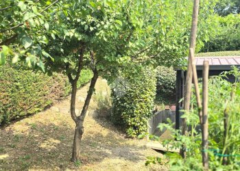 Villa Via Verdi, Medesano - foto 28