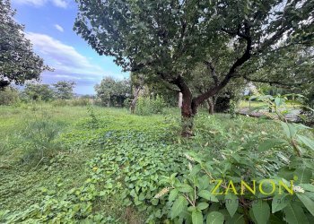 Foto 22 - Stabile - Palazzo Via Monte Hermada, Gorizia - foto 22