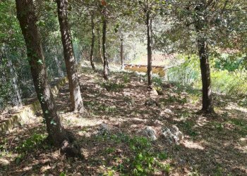 Foto 5 - Casa indipendente strada di valle cupa
 
12, Palombara Sabina - foto 5