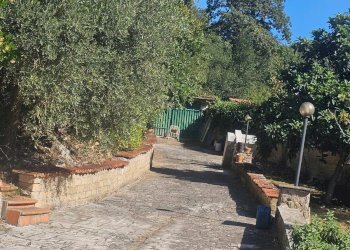 Foto 16 - Casa indipendente strada di valle cupa
 
12, Palombara Sabina - foto 16