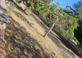 Foto 20 - Casa indipendente strada di valle cupa
 
12, Palombara Sabina - foto 20